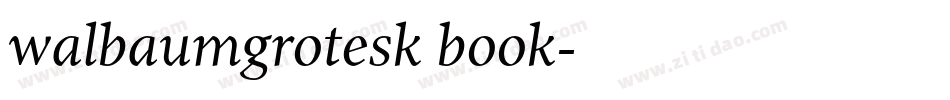 walbaumgrotesk book字体转换
